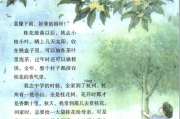 兰花草在线影院,观影新体验-探索网络观影的便捷与乐趣