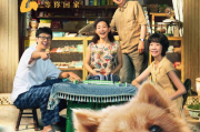 揭秘2025年BT磁力猪：数字版权保护的新挑战