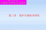 酒色影视，品味与视觉的双重享受-高质量影视作品解析
