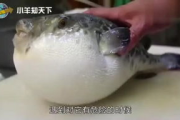 巴巴鱼电影网bd,高清电影资源聚合平台-使用指南与版权意识