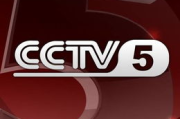 2025年CCTV5体育现场直播：感受体育的魅力与激情