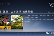 文字软件功能解析与选择指南-提升写作效率的秘诀