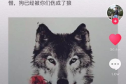 狼之歌草民电影网：高清电影资源的宝藏库-观影体验解析