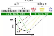 最强狂兵,自我防护技巧-高效训练与装备指南