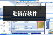 小管家进销存软件,高效库存管理解决方案解析