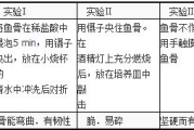 探索美食奥秘，美味关系2的秘密-烹饪技巧解析
