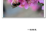 那年花开月正圆，诗意时光的深度解析-情感与意境的完美融合