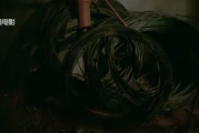 【独家解析】毒液2：如何在网络中免费观看高清电影？