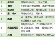 保洁服务规范,保洁阿姨是否仅凭付费提供服务解析