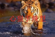 八虎电影网,高清电影在线观看-用户体验优化解析