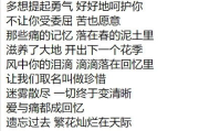 寻找一生所爱，建立长久关系-现代爱情解析