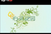 心灵花园的自我救赎,培养兴趣爱好-纵意花丛的解决方案解析