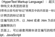5人轮换模式在团队管理中的应用与实践