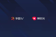 免费高清视频资源搜索技巧-合法获取途径解析