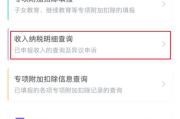 个人所得税申报软件选择与使用指南