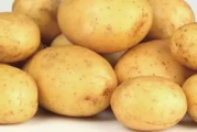 土豆影视网,全方位影视资源聚合平台-使用指南与优化策略