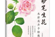 妙笔生花绘画软件,创意无限-功能解析与实用技巧