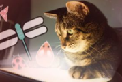 小猫手机游戏精选推荐-猫咪娱乐新方式