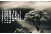 五本值得看三遍以上的小说，深度解析与情感共鸣