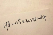 浮生为卿歌,情感故事融入SEO-搜索引擎优化策略解析