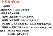你是我的荣耀,内容创作与搜索引擎优化的完美结合