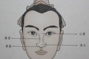 面相分析软件，精准解读人脸信息-人工智能技术应用解析