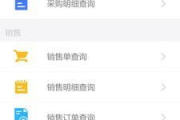 傻瓜进销存软件,简化管理流程-高效解决方案解析