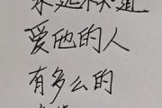 情感语录的力量,心灵疗愈与成长启示