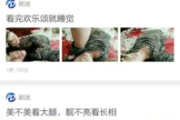 免费网剧电视剧大全App,便捷观影体验-应用指南
