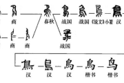 公的浮之手中字2023最新版-功能解析与优化策略