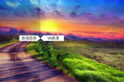 2025年樱花草花开季：线上高清免费资源大揭秘
