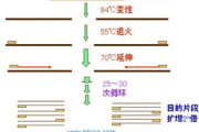 引物设计软件,提升PCR实验效率-选择与使用指南