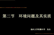 破解隐性问题,顶楼大象的解决之道-深度解析与实践指南
