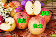《红苹果》：免费下载短剧，探索流量时代的创作新趋势