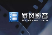 暴风影音播放器,高清视频播放-功能解析与优化策略