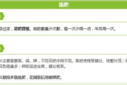 熊出没全集100集,欢乐童年回忆-精彩剧情解析