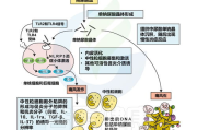 克罗恩病与溃疡性结肠炎的区别及治疗解析