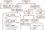 高效工作必备，流程图软件解析与选择指南