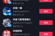 短视频源码出售：是馅饼还是陷阱？