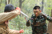 特种兵之霹雳火训练意义与实战应用解析