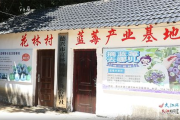 农村影视墙：乡村文化振兴的窗口与希望