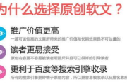 电影网站宣传策略全面解析-提高流量与影响力