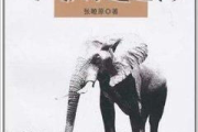 河南影视公司：从中原大地走向全国的文化使者