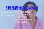 【经典回顾】100首老歌连续播放，唤醒你的青春记忆！