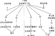 男性射精后恢复时间解析-影响因子与恢复策略