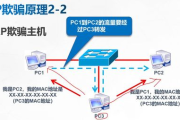 烽火传奇：探讨2025年网络安全领域的DDoS攻击与防御