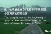 0202电影网论理片深度解析与观众体验评价