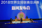 世界羽联巡回赛总决赛,赛事筹备与精彩亮点-全面解析羽毛球盛宴