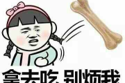 2025年卡塔尔世界杯4分之一决赛盘点：强强对话，惊喜连连！