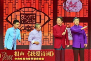 湖南卫视春晚特色与节目亮点-深度解析观众喜爱之谜